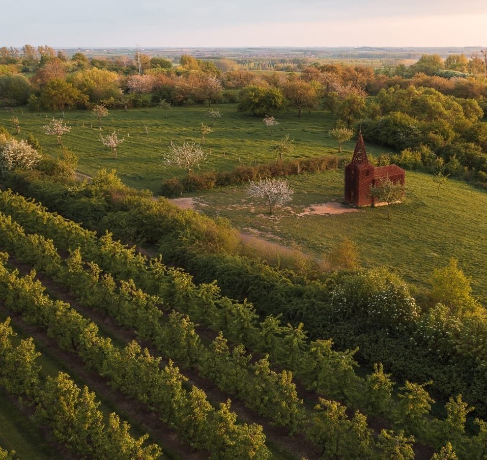 Een luchtfoto van een groene landschap met een kleine, bruine kerk omgeven door bloeiende bomen en een wijngaard in de voorgrond.